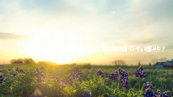 Chrome 浏览器设计的神细节有哪些？