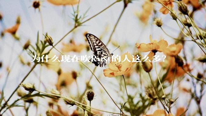 为什么现在吹Rust的人这么多？